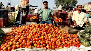 First Time I Am Selling Tomatoes At This Local Village Market  How Much Money Earned Today [upl. by Haduhey]