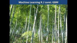 Machine Learning mit R und caret GBM Gradient Boosting Machine vs Random Forest [upl. by Ardnala634]