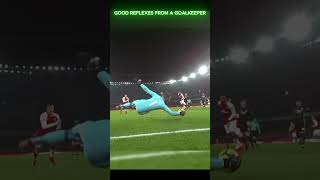 GOOD REFLEXES FROM A GOALKEEPER sports youtubeshortsshorts [upl. by Resee]