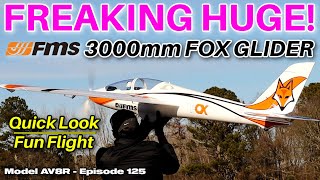 FMS 3000mm Fox Aerobatic Glider PNP  Model AV8R Quick LookFun Flight [upl. by Trauts40]