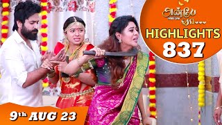 Anbe Vaa Serial Highlights Ep837  9th Aug 2023  Virat  Delna Davis  Saregama TV Shows Tamil [upl. by Nodnyl663]