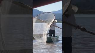 Lake Pátzcuaro in Mexico Michoacán The Purépecha Fishermen and Their Iconic Butterfly Nets fyp [upl. by Knarf]