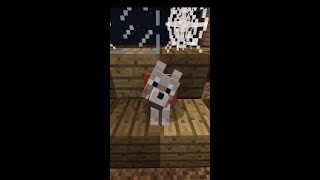 When You Leave Your Minecraft Dog [upl. by Nnaj]