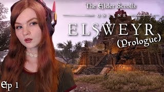 PREPARING FOR ELSWEYR  Lets Play Elder Scrolls Online Elsweyr Prologue  Ep 1 [upl. by Dnilasor]