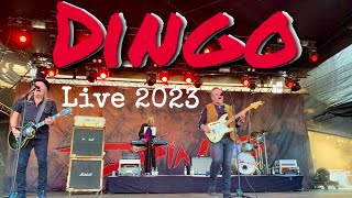 Dingo Live  Vauhti kiihtyy Tampere 2682023 koostevideo Nipa Neumann Jonttu Virta Pepe Laaksonen [upl. by Magree907]