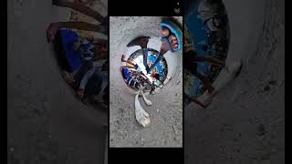 Funny Video comedy viral comedy insta360camera funny [upl. by Elton]