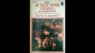 More Jungle Book Stories RikkiTikkiTavi [upl. by Rorke859]