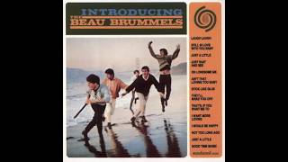 The Beau Brummels Laugh Laugh [upl. by Jacquelynn]