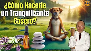 ☮️ ¿COMO HACER UN TRANQUILIZANTE CASERO PARA PERROS ☮️ [upl. by Kelly]