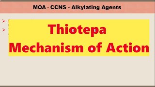 Thiotepa Mechanism of action [upl. by Etiuqal516]