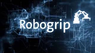 Krones Robogrip – der multifunktionale Pack und Palettierroboter [upl. by Bendicta]