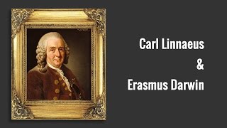 Carl Linnaeus and Erasmus Darwin [upl. by Roseanna366]