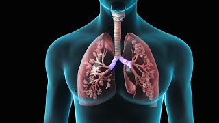 Spirometry  Test for Lung Function  Nucleus Health [upl. by Anirad]