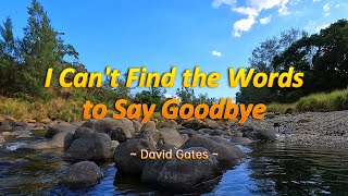 I CANT FIND THE WORDS TO SAY GOODBYE  4k HDR Karaoke Version  in the style of David Gates [upl. by Tillio]