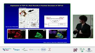 Ciencia básicaProteinopatias TDP43 [upl. by Huebner]