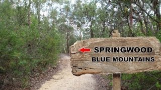 Yowie  Bigfoot Sighting Audio Report 13 at Springwood Blue Mountains New South Wales [upl. by Pihc]