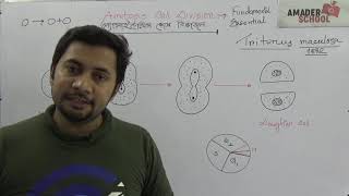 Amitosis Cell Division  অ্যামাইটোসিস কোষ বিভাজন ।। HSC Botany Chapter 3 [upl. by Femi]