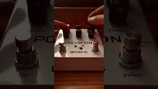 Meris Polymoon Stereo Delay  Creating space in my synth sound polymoon synth pedal meris [upl. by Shreve]