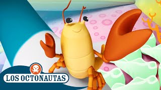 Los Octonautas  🔊 El camarón pistola 🦞  Episodios Completos [upl. by Willyt]