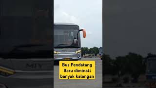 Bus Pendatang baru diminati banyak kalangan  MIYOR [upl. by Isawk]