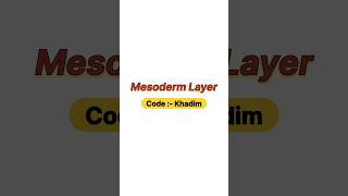 Mesoderm layer [upl. by Enimrej]