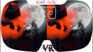 3D VR VIDEO 561 4K VR Video Roller Coaster [upl. by Petey]