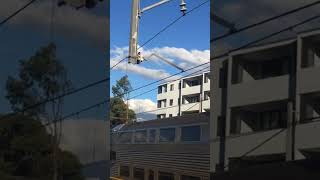 V Set passing Wentworthville train trainspotting publictransport railway railwaystation [upl. by Yrekaz]