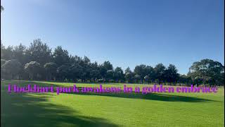 At Flockhart Park ScenicViews NaturePhotography ExploreNature NaturalBeauty MorningSunlight [upl. by Halik]