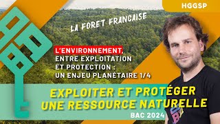 HGGSP Thème 5  Environnement  exploitation et protection 14  La forêt française  Bac 2025 [upl. by Christabelle]