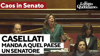 Il video di Casellati che manda a quel paese Borghi Iv Il senatore quotSi vergogniquot E lei replica [upl. by Yasmeen]