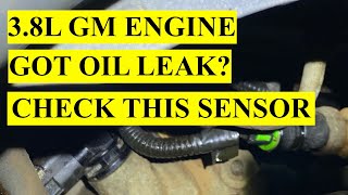 Got an Oil Leak in your 38L GM engine Chevrolet Pontiac Buick Oldsmobile etc [upl. by Emelyne]