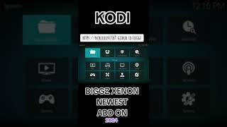 💥KODI  DIGGZ XENON BUILD  OCT 2024💥 [upl. by Nangem]