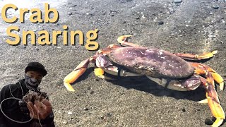 Crabbing After a 2 year Hiatus [upl. by Hairacaz]