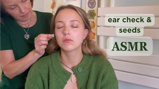 Tingly ASMR Ear Inspection amp Treatment with Ear Seeds asmraugust Unintentional ASMR Real Person [upl. by Eugenio]