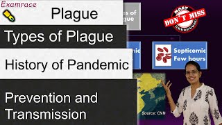 Major Pandemics Plague in News Bayannur in North China  3 Types of Plague  Current Affairs [upl. by Brown]