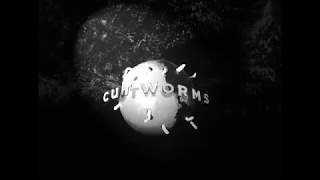 Cut Worms  Till Tomorrow Goes Away Official Audio [upl. by Lehcor]