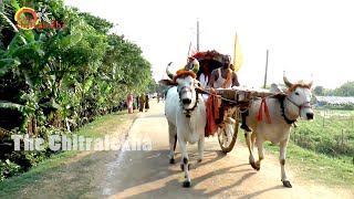 Nabakalebara Documentary Movie  Nabakalebara Video Footage  puri  Lord Jagannath Odisha [upl. by Clareta]