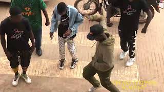 Portable X Poco Lee ft Olamide ZaZoo Zehh best dance Challenge [upl. by Bohon]