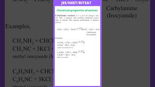 Carbylamine reaction  chemical properties of Amines  JEE  NEET  BITSAT [upl. by Annohsak]