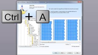 47 Batch Wizard Batch Processing and Post Processing System in PixEdit Scanning Software [upl. by Louise717]