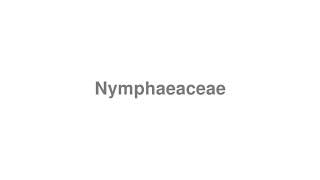 How to Pronounce quotNymphaeaceaequot [upl. by Nioe]