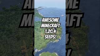 EPIC Minecraft Seeds for 1204 [upl. by Ellimahs]