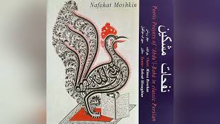 Solo Santoor by Sohrab Missaghian  Nafehat Moshkin [upl. by Kenway]