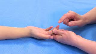 Hand Examination Finger Flexors FDS and FDP [upl. by Pavlish797]