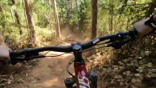 bike test Polygon Collosus N7 polygonbike collosusN7 [upl. by Emse]