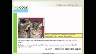 Biodoen  eigenschappen en chromosomen 1 van 5 [upl. by Dias747]