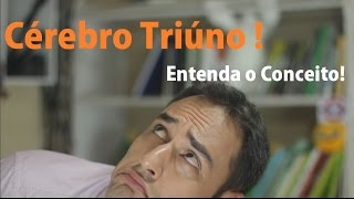 Cérebro Trino Cerebro Triuno ou Cerebro Triunico  Conceito [upl. by Raine]