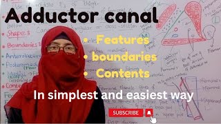 Adductor canal  features  contents  boundaries  lower limb anatomy ayesha medical education [upl. by Remmos]