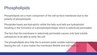 STRUCTURE OF THE CELL MEMBRANE For AQA OCR and Edexcel A level Biology [upl. by Nilloc583]