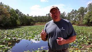 Cutting Lily Pads with the Weed Razer Tool [upl. by Mihsah435]